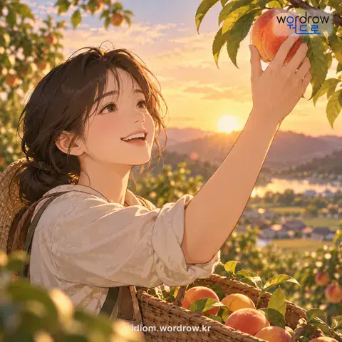 ‘꼭지가 무르다’의 첫 번째 뜻을 표현한 그림: 기회가 완전히 무르익다.