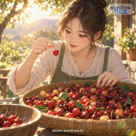 ‘뉘 골라내듯’의 첫 번째 뜻을 표현한 그림: 많은 것들 중에서 꼼꼼히 골라내다.
