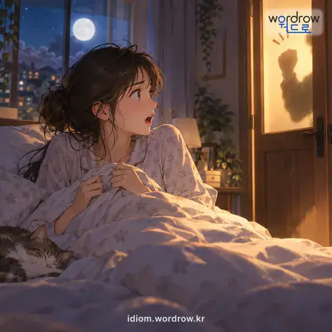 ‘아닌 밤중에’의 첫 번째 뜻을 표현한 그림: 뜻하지 않은 밤중에.