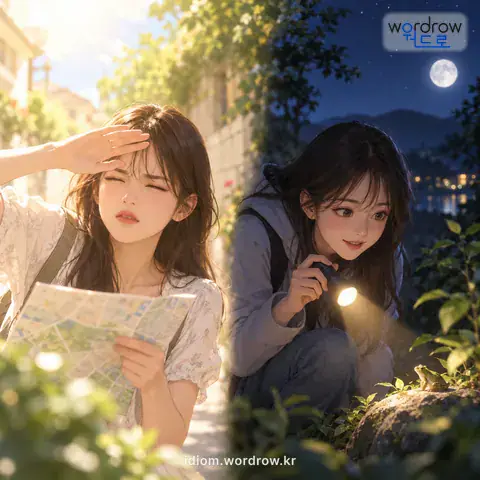 ‘올빼미 눈 같다’의 첫 번째 뜻을 표현한 그림: (비유적으로) 낮에 잘 보지 못하다. 또는 낮보다 밤에 더 잘 보다.